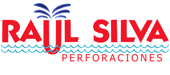 Raul Silva Logo